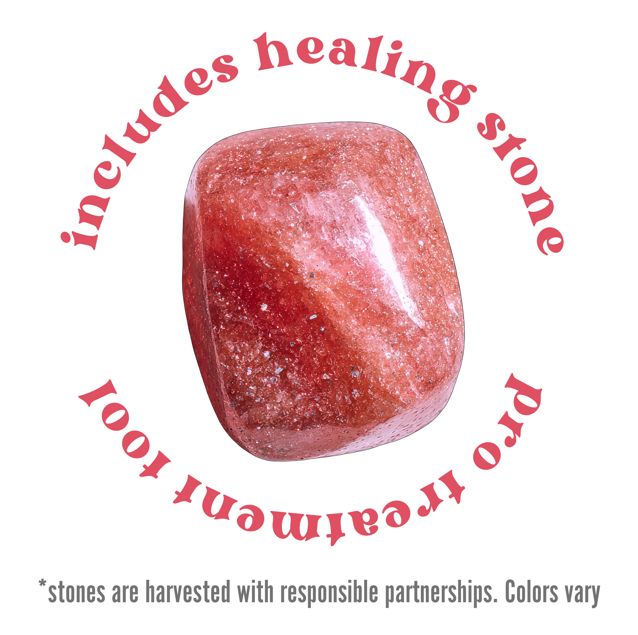 Strawberries + Champagne Pro Lip Care Kit