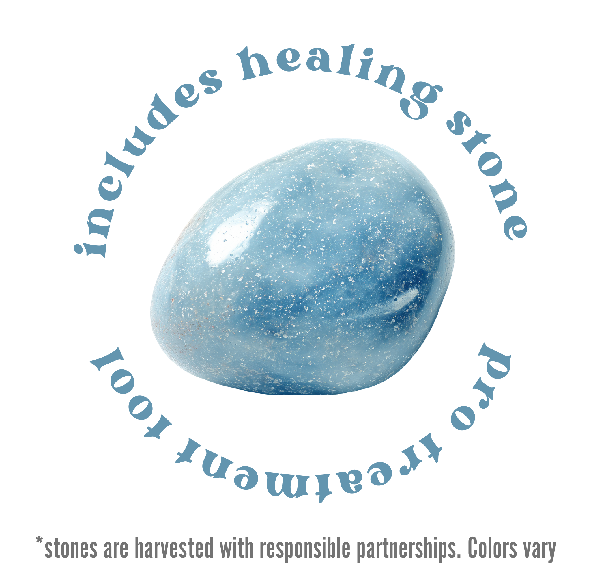 Mint Pro Lip Care Kit