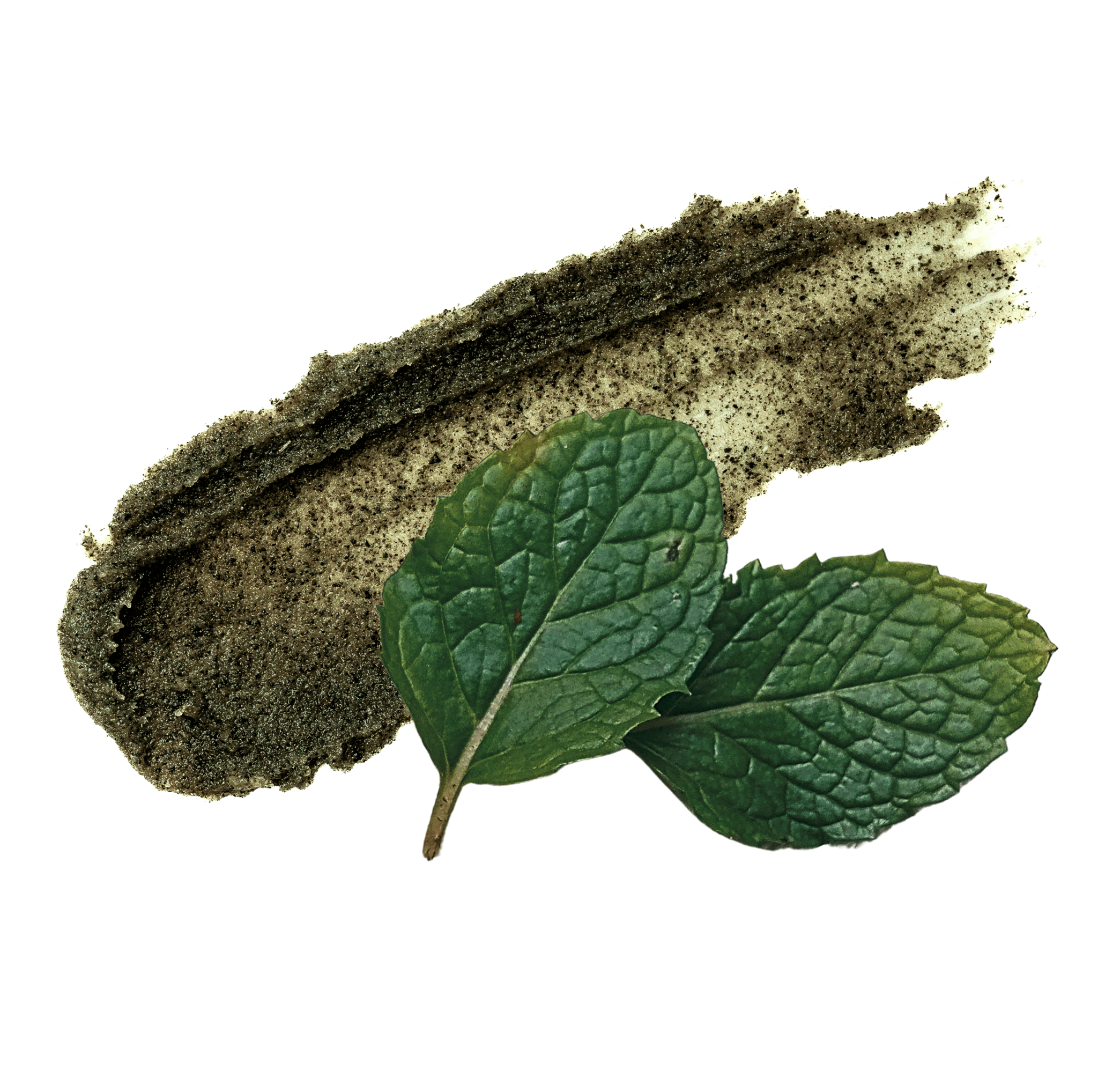 Forest Mint Lip Scrub - Abature