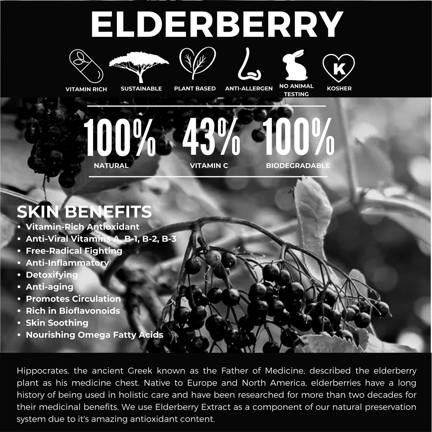 Elderberry Extract - Abature