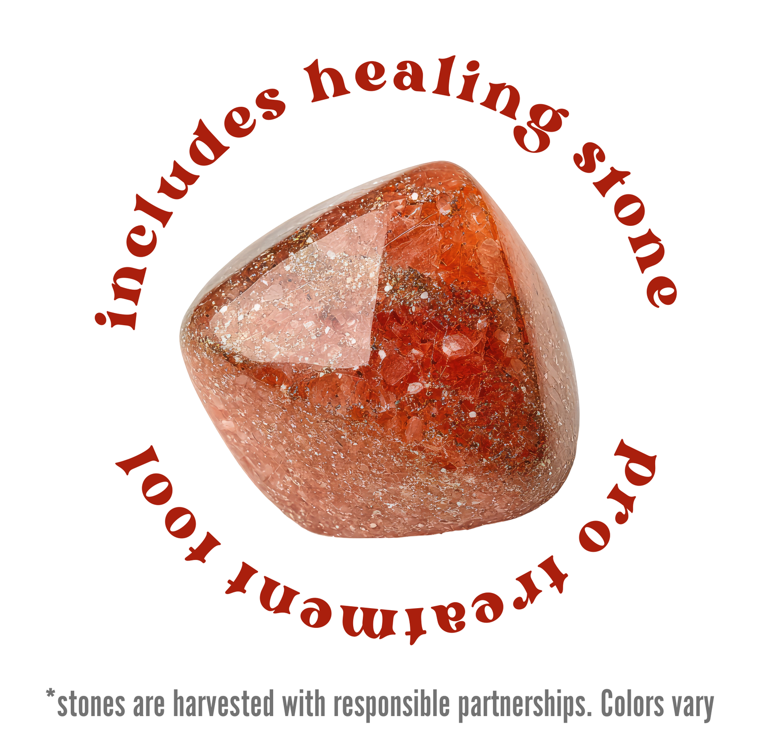 Blackberry Pro Lip Care Kit