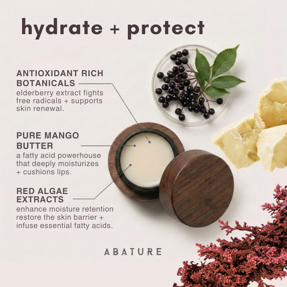 Gingerbread Lip Care Gift Set
