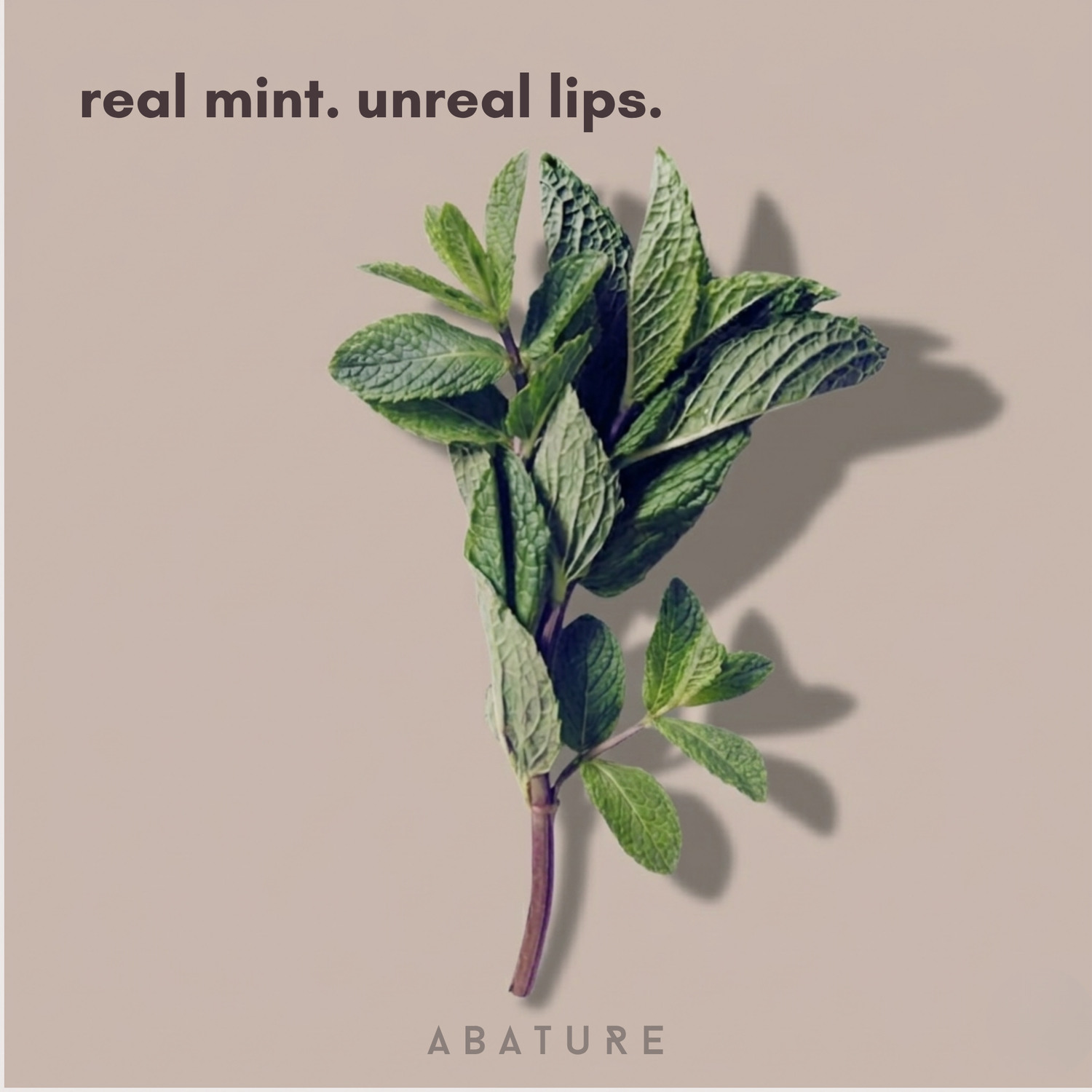 Forest Mint Lip Scrub