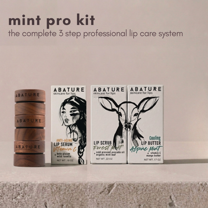 Mint Pro Lip Care Kit
