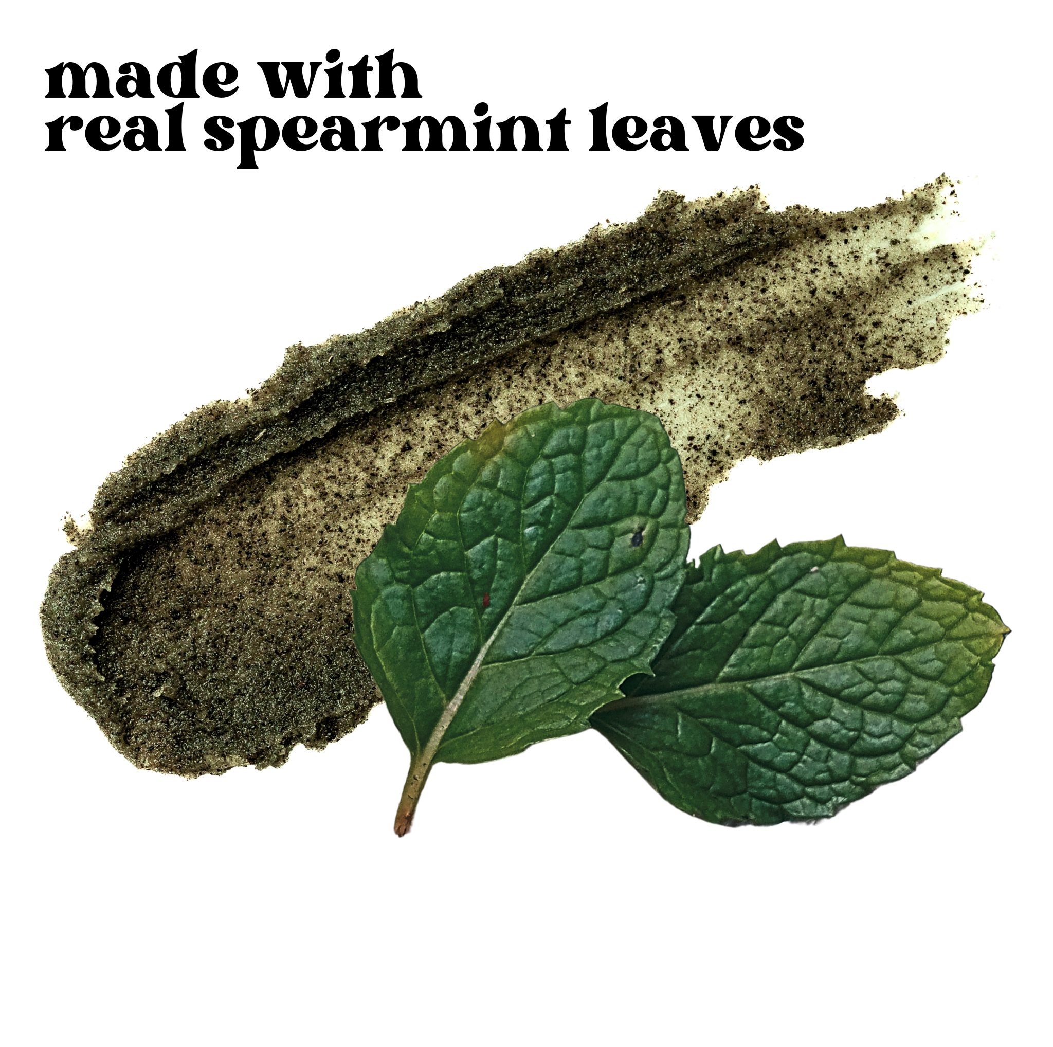 Mint Pro Lip Care Kit