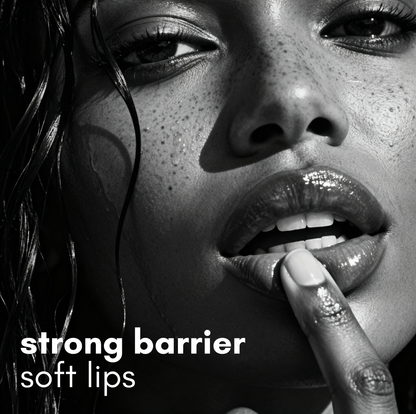 Mint Pro Lip Care Kit