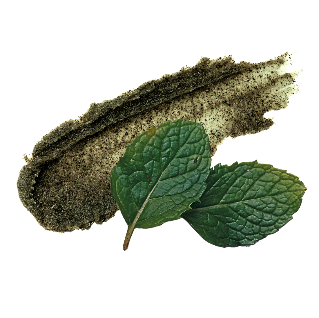 Forest Mint Lip Scrub